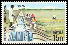 ZAMBIA 155 - Irrigation and Drainage "Furrow Irrigation" (pb66737)