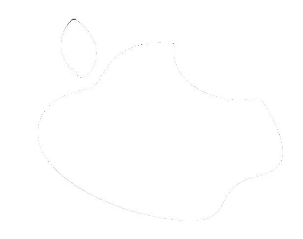 Lector de libros electrónicos y Tablet Blanca autoadhesivos y calcomanías para Apple