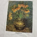 Foto 3 di 6