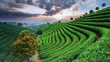 Landscape nature trees field farm clouds sky mountains Custom Gaming Mat Desk