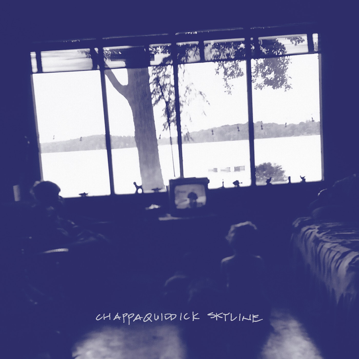 Chappaquiddick Skyline Chappaquiddick Skyline (Vinyl LP) 12" Album