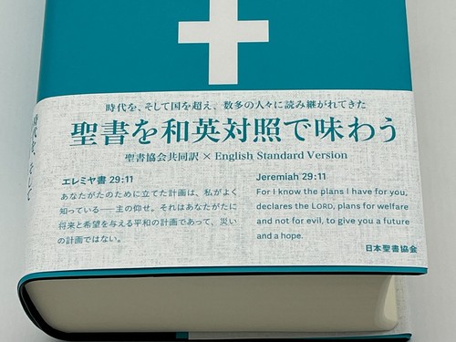 svg+xml;base,PHNZyBbWxucziaHRcDovLddyMyvcmcvMjAwMCzdmciIHdpZHRoPSIMDAiIGhlaWdodDiMzcIiBaWVQmPSIwIDAgNTAwIDMNSI+PHJlYQgdlkdGgIjEwMCUiIGhlaWdodDiMTAwJSIgcRbGUImZpbGwINmZDRkYjtmaWxsLWwYWNpdHkIDAuMTsiLzLNZz=
