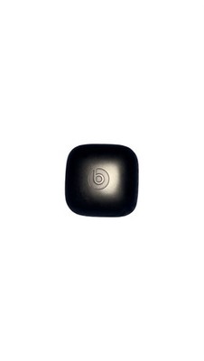 Beats Powerbeats Pro Wireless Earbuds in black