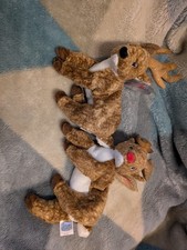 TY Beanies Babies - Roxie x2