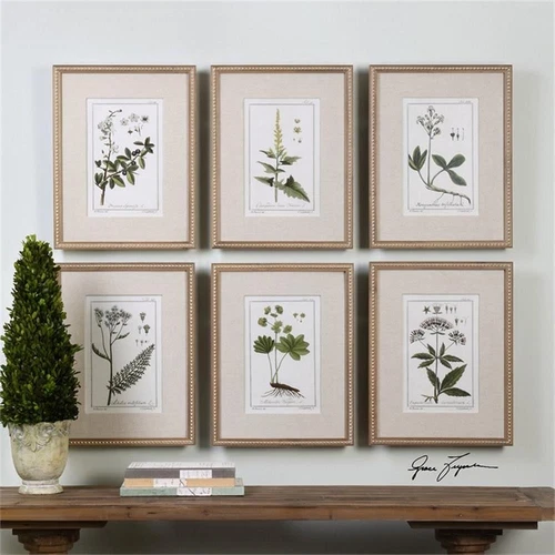 Uttermost Green Floral Botanical Study Pine Wood Prints - Multi-Color (Set of 6) - Picture 2 of 3