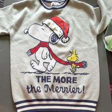 Peanuts Snoopy Woodstock Christmas Sweater Womens Small Or Kids 10/12 Gray