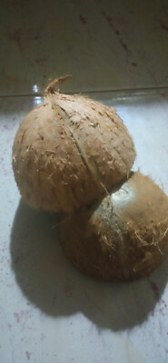 Natural Coconut Shell Halves 2 pieces