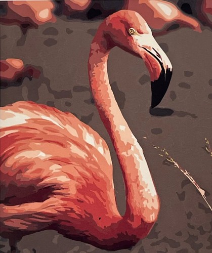 Pink Picasso FRANNIE FLAMINGO Art Kit Paint By Numbers Kit 12 Hour Project