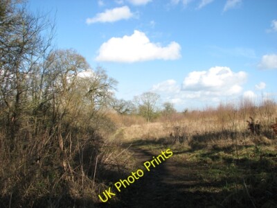 Photo 6x4 Footpath to Swardeston Common The path forms a section of the T c2015