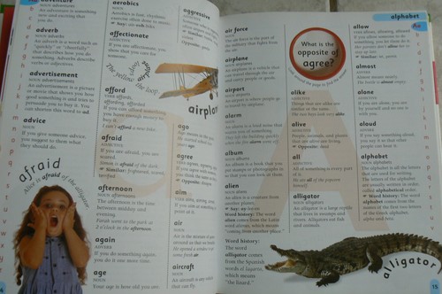 DK FIRST DICTIONARY & THESAURUS , 256-pages LN HC GREAT! 2002 - Picture 7 of 16