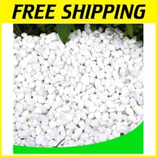 White Pebbles 18lb Decorative Gravel Stones