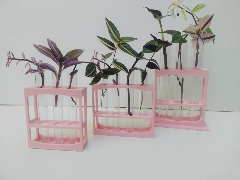 Pink Plant Propagation Stations + Tubes for Rooting Cuttings in different sizes - Image 4 of 4