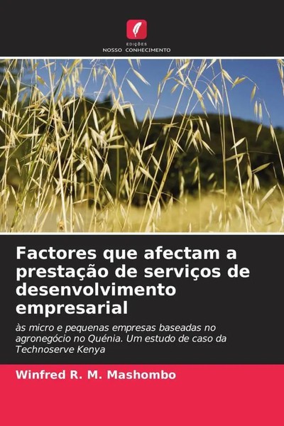 Winfred R. M. Mashombo | Factores Que Afectam A PrestaçãO De ServiçOs De...-image
