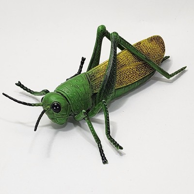 Learning Resources Realistic Grasshopper Insect 6'' Figure Animal Toy