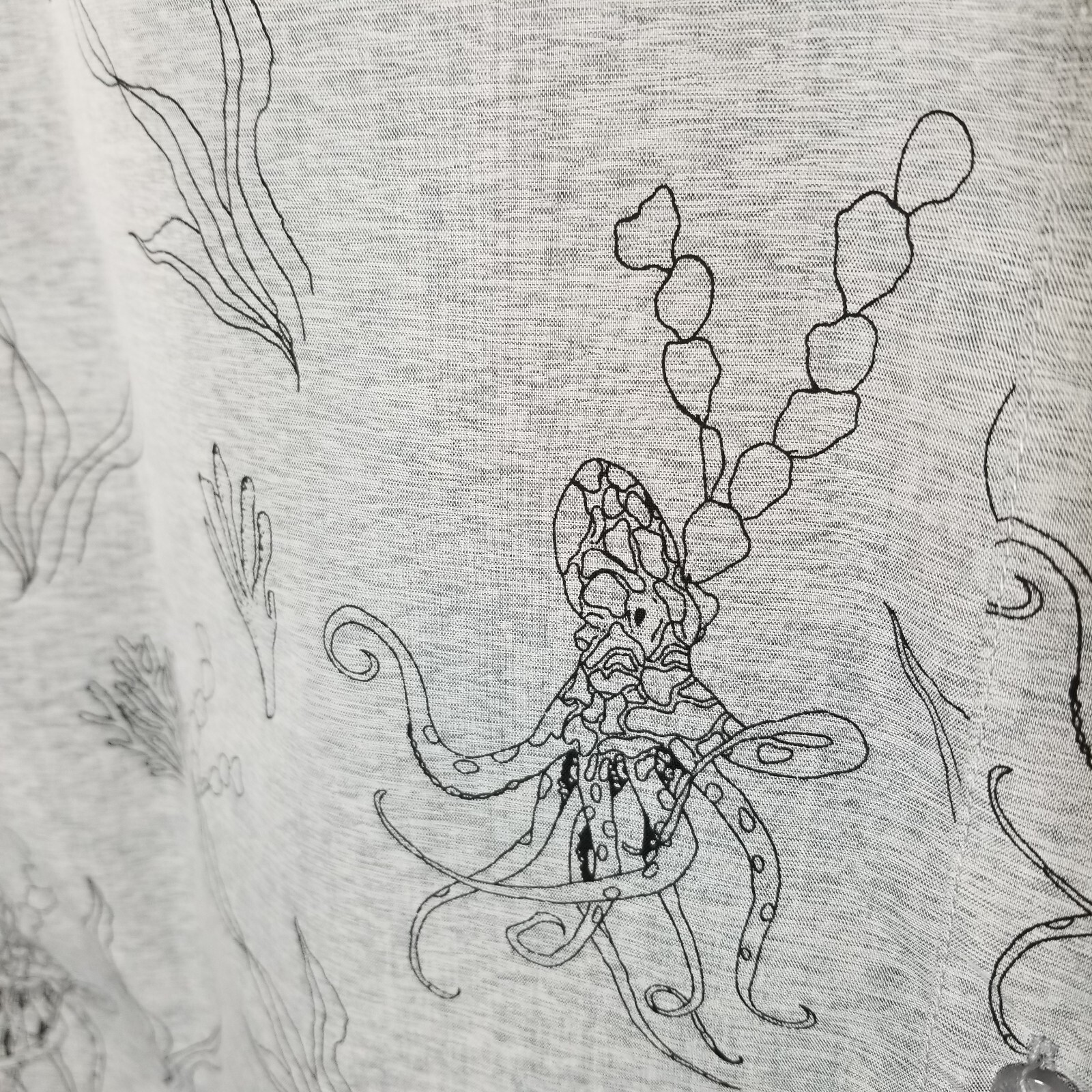 Picture 5 of 11