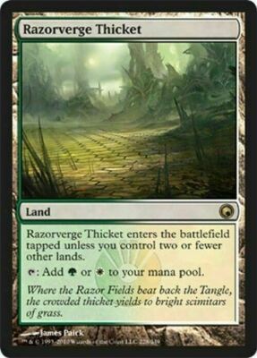 Razorverge Thicket ~ Scars of Mirrodin [ Excellent+ ] [ Magic MTG ]