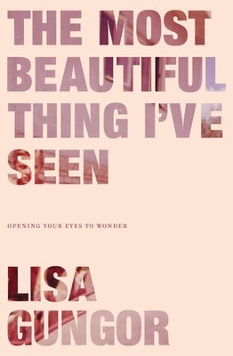 The Most Beautiful Thing I've Seen: Opening Your Eyes to Wonder - paperback ...
