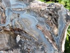 Bild 8 von 22