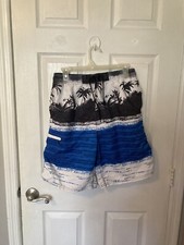 PacSun Swim Trunks