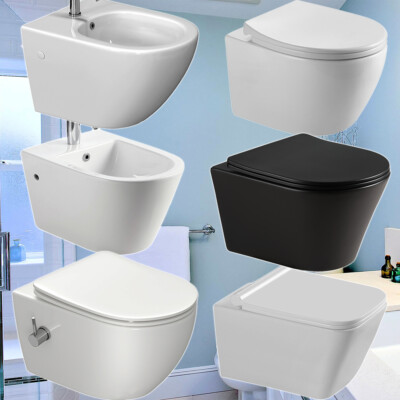 Hänge WC Spülrandlos spülrandloses Wand WC Toilette softclose WC-Sitz abnehmbar