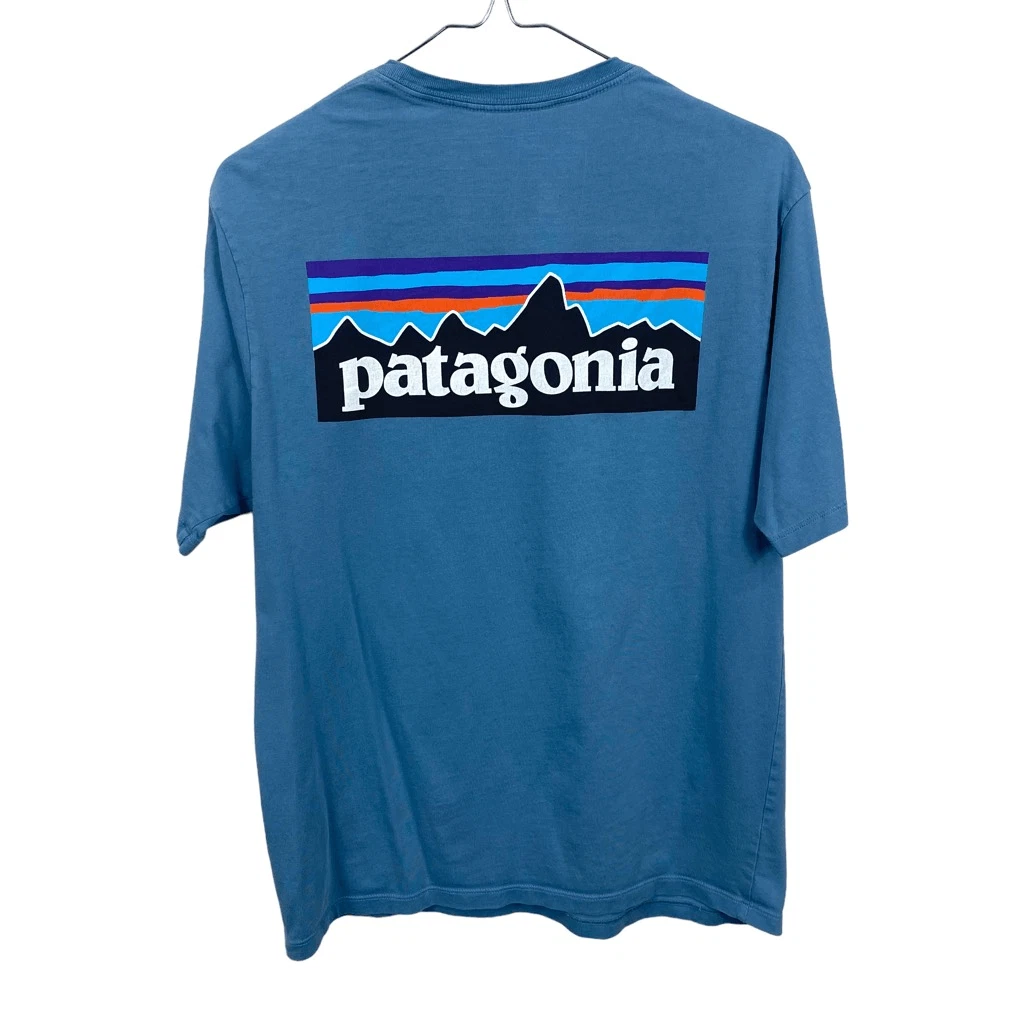 Responsibili tee patagonia 2025
