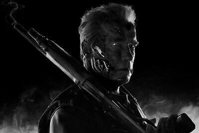 Arnold Schwarzenegger Terminator Dark Fate As Terminator Carl photo 11x17