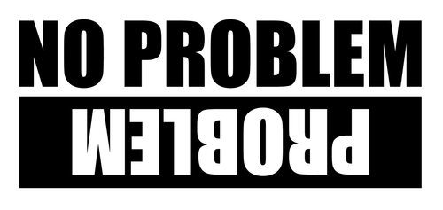 NO PROBLEM PROBLEM Vinyl Decal, Bumper Sticker, Truck, Funny, Windows, Outdoors! - Afbeelding 1 van 4