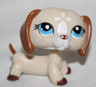 Rare Littlest Pet Shop LPS #1491 Dachshund Puppy Dog Tan Brown White Blue Eyes