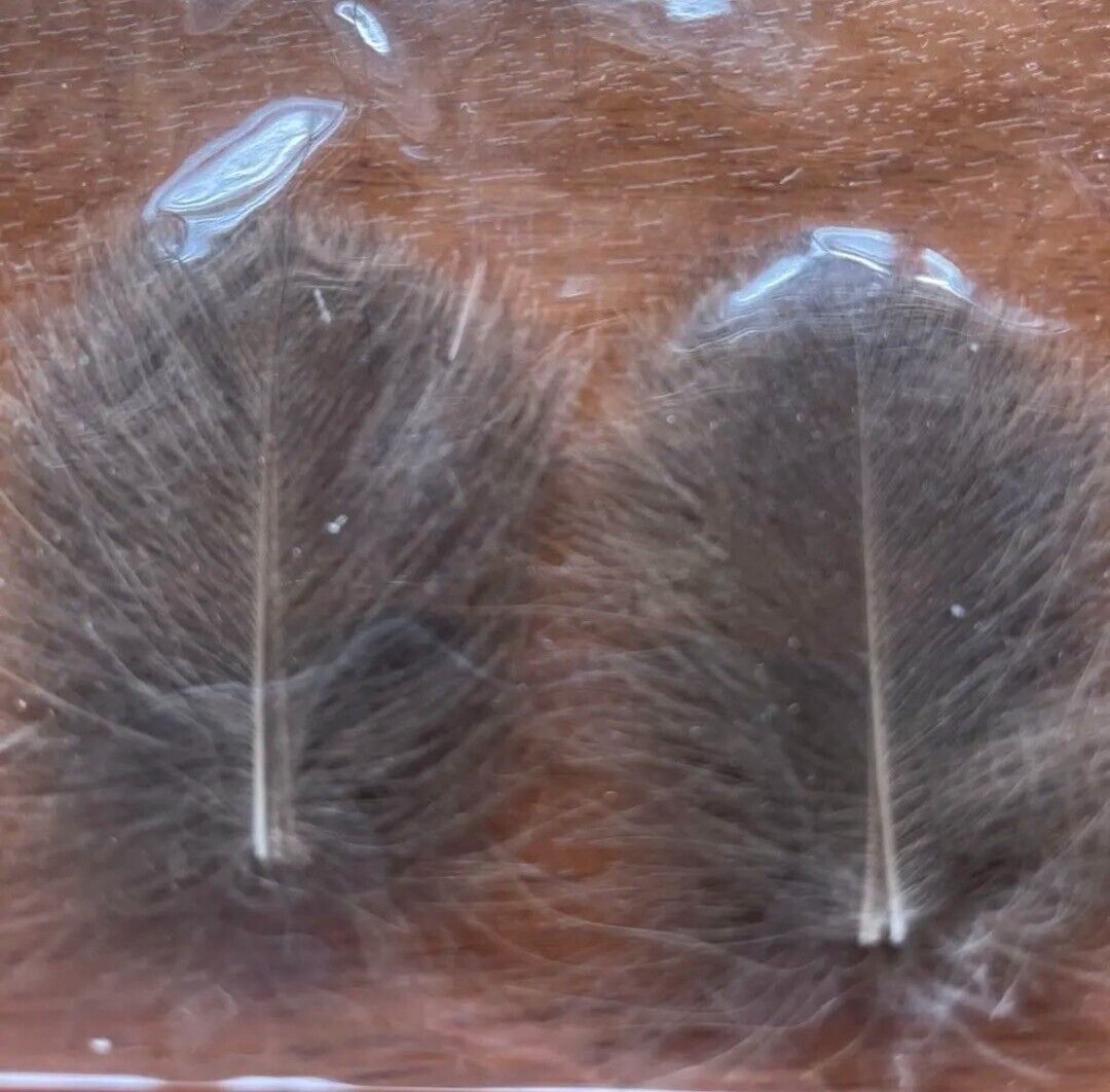 100Packs】Mallard1 CDC Feathers Dark Dun 50 plumes Fly 100Packs】Mallard1 CDC Feathers Dark Dun 50 plumes Fly