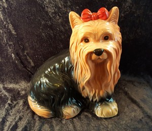 yorkshire terrier house training