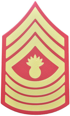 USMC Enlisted Dress Blues Rank Insignia Vibrant Yellow - E-9 - Master Gunnery Se