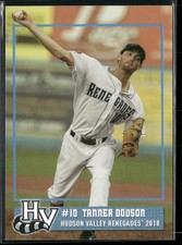 Tanner Dodson 2018 Hudson Valley Renegades Team Set Card