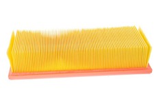 Filtre à air Mg TF