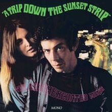 A Trip Down The Sunset Strip von The Leathercoated Minds | CD | Zustand sehr gut