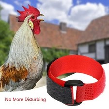 2pcs Anti Crow Rooster Collar – No Noise Poultry Neckband