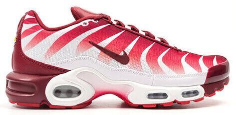 Nike Air Max Plus After the Bite