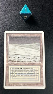 マジック：ザ・ギャザリング Tundra 英)Tundra【3ED】 No.289｜MtG通販サイト【Cardshop Serra】