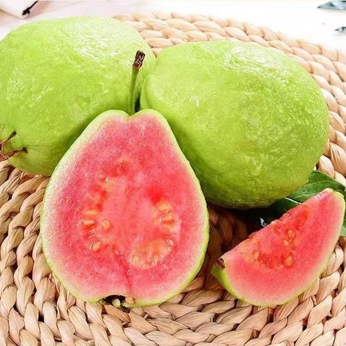 Guava Rosa Dolce Delizioso Frutto Tropicale Raro Semi Da 50 Pezzi Semi Di ☆ - Picture 5 of 18