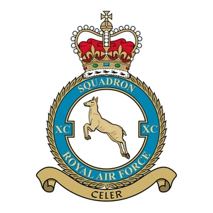 No. 90 Squadron RAF badge patch Self Adhesive Vinyl Sticker