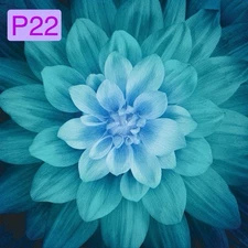 Hoffman Fabric - Dream Big Dahlia Flower Panel Teal Blue P4389 %100 Cotton