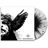 Splendidula - Somnus Clear / Splatter Vinyl Lp - Vinyl Record - G3Z