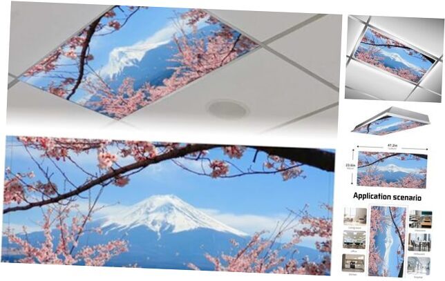 2 Pcs Fluorescent Light Covers for Ceiling Lights - Snow Mountain Color-2
