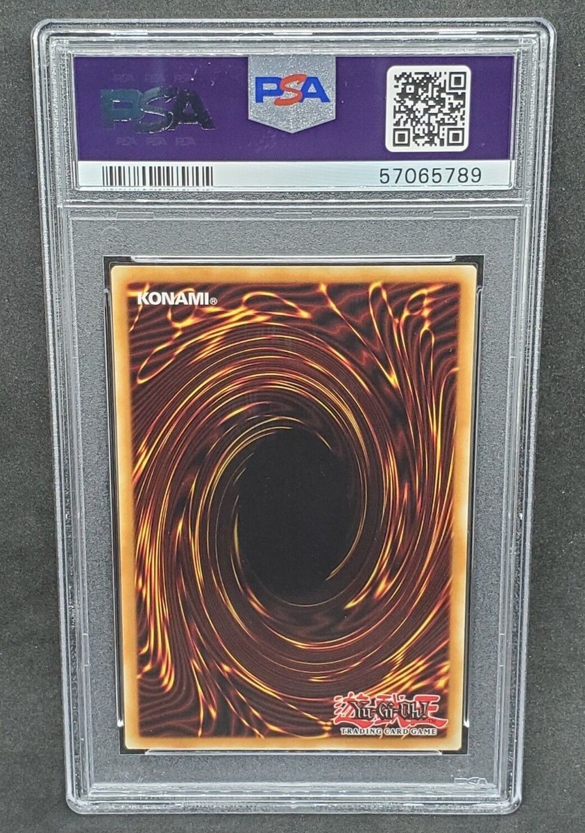 エコエコアザラク Wizard of Darkness（北米版） Yugioh PSA 10 GEM MINT Dark Magician Girl the Dragon Knight DLCS