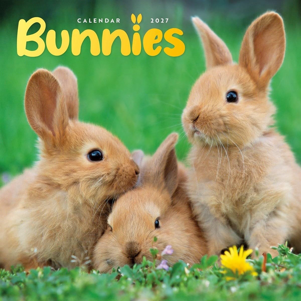 Bunnies Mini (Calendar) - Image 2