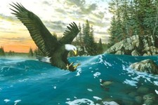 Ceramic Backsplash Tile Mural Bird Of Prey Kitchen/Bathroom - Endangered Moments