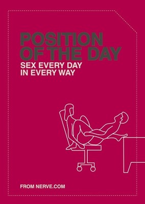 Position of the Day (Taschenbuch)