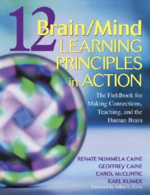 12 Brain/Mind Learning Principles in Action: The Fieldbook for Makin - VERY GOOD