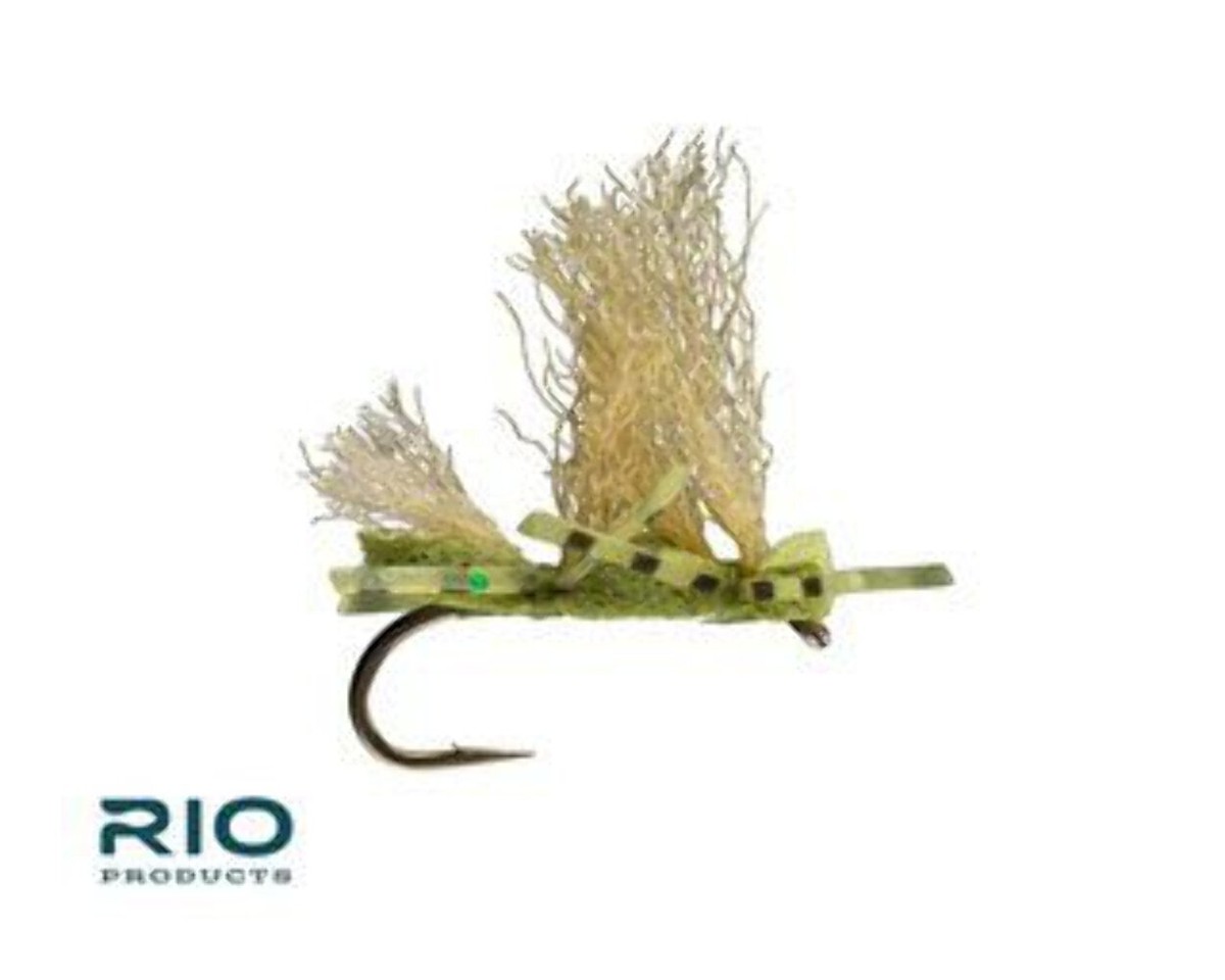 RIO Flies Big Boned Caddis (12 Pack) | eBay