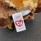 Bild 8 von 11