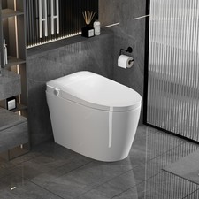 Smart Toilets with Heated Bidet Seat.Portable toilet